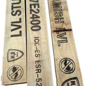 Laminated Veneer Lumber (LVL)
